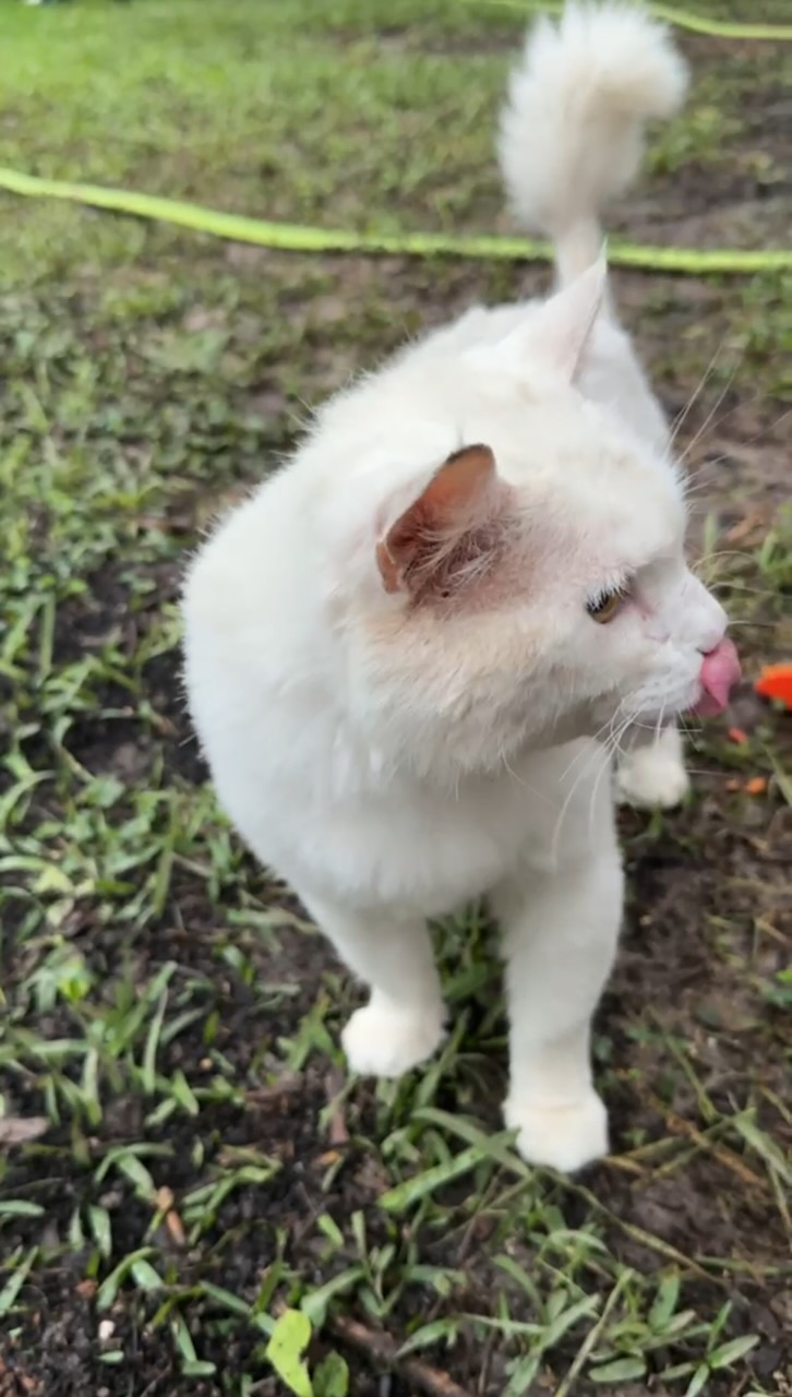BINX