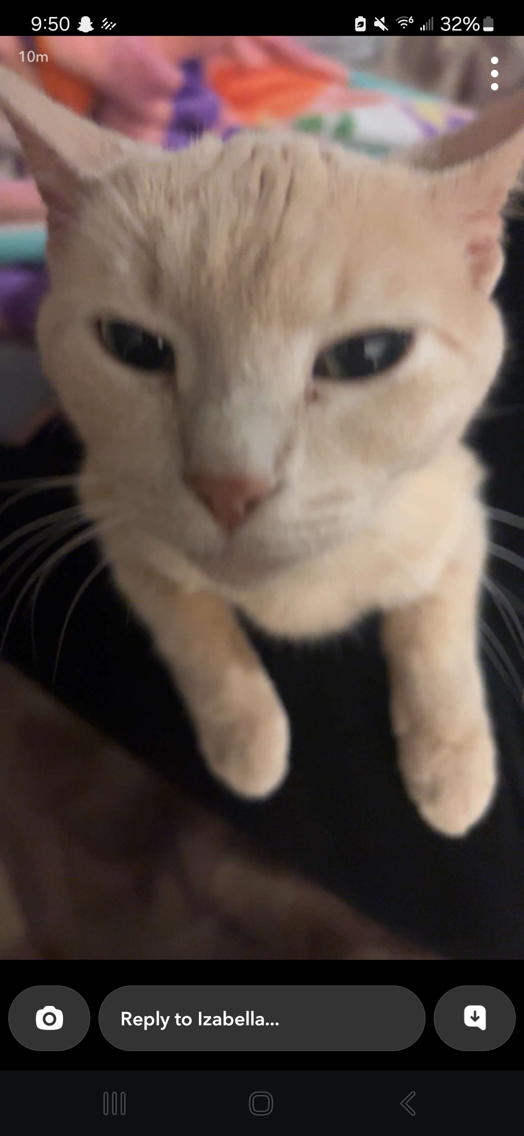JOJO